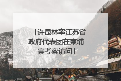 许昆林率江苏省政府代表团在柬埔寨考察访问