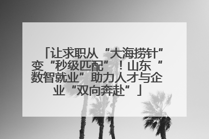 让求职从“大海捞针”变“秒级匹配”！山东“数智就业”助力人才与企业“双向奔赴”