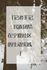 记者手记：民族团结在宁夏社区的生动实践