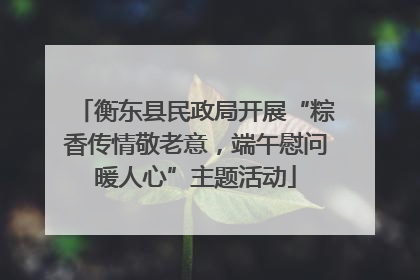 衡东县民政局开展“粽香传情敬老意，端午慰问暖人心”主题活动