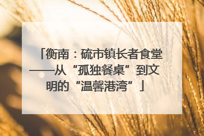 衡南：硫市镇长者食堂——从“孤独餐桌”到文明的“温馨港湾”