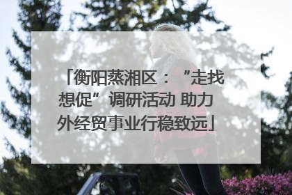 衡阳蒸湘区：“走找想促”调研活动 助力外经贸事业行稳致远