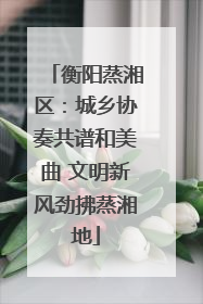 衡阳蒸湘区：城乡协奏共谱和美曲 文明新风劲拂蒸湘地