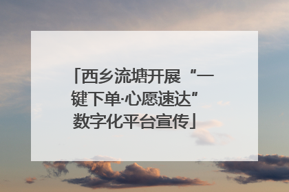 西乡流塘开展“一键下单·心愿速达”数字化平台宣传