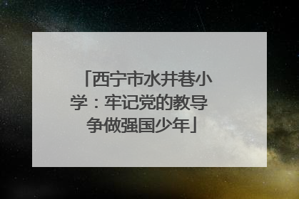 西宁市水井巷小学：牢记党的教导 争做强国少年