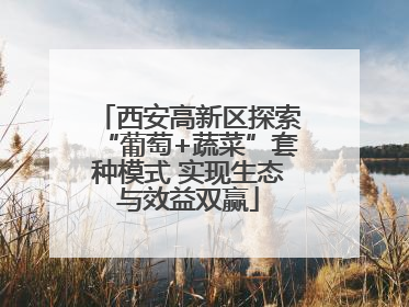 西安高新区探索“葡萄+蔬菜”套种模式 实现生态与效益双赢
