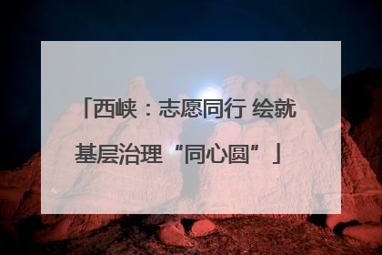 西峡：志愿同行 绘就基层治理“同心圆”