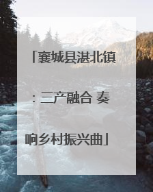 襄城县湛北镇：三产融合 奏响乡村振兴曲