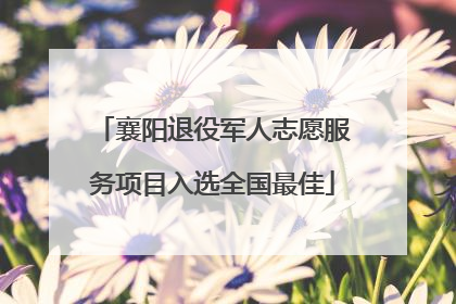 襄阳退役军人志愿服务项目入选全国最佳