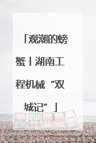 观潮的螃蟹丨湖南工程机械“双城记”