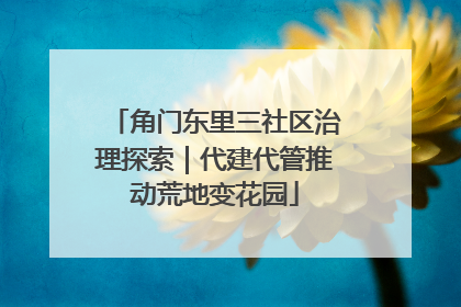 角门东里三社区治理探索｜代建代管推动荒地变花园