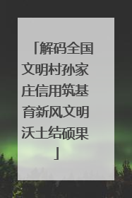 解码全国文明村孙家庄信用筑基育新风文明沃土结硕果