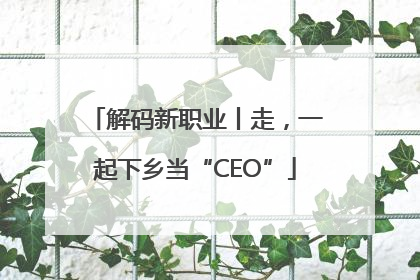 解码新职业丨走，一起下乡当“CEO”