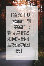 追光丨从“痛点”到“亮点”：看文昌街道如何绣出村居发展新图景