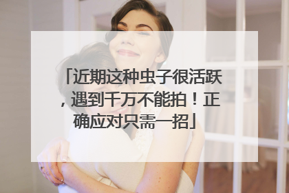 近期这种虫子很活跃，遇到千万不能拍！正确应对只需一招