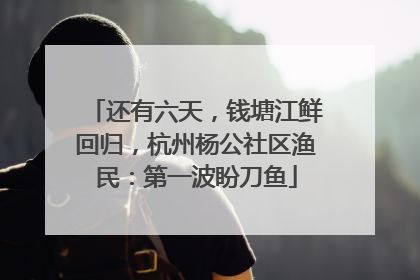 还有六天，钱塘江鲜回归，杭州杨公社区渔民：第一波盼刀鱼