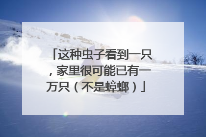 这种虫子看到一只，家里很可能已有一万只（不是蟑螂）