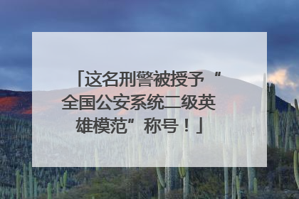这名刑警被授予“全国公安系统二级英雄模范”称号！