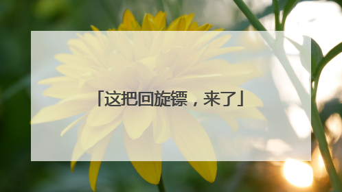这把回旋镖，来了