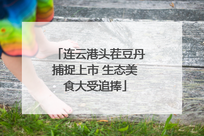 连云港头茬豆丹捕捉上市 生态美食大受追捧