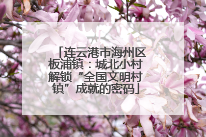 连云港市海州区板浦镇：城北小村解锁“全国文明村镇”成就的密码
