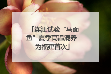 连江试验“马面鱼”夏季高温混养 为福建首次