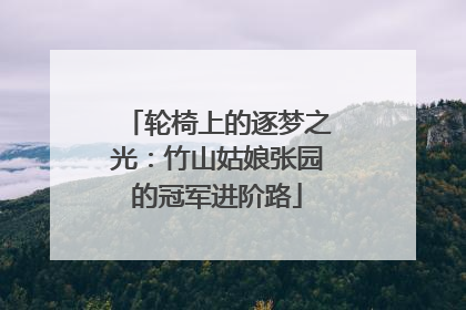 轮椅上的逐梦之光：竹山姑娘张园的冠军进阶路