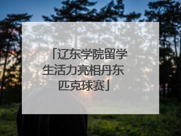 辽东学院留学生活力亮相丹东匹克球赛