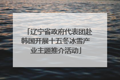 辽宁省政府代表团赴韩国开展十五冬冰雪产业主题推介活动