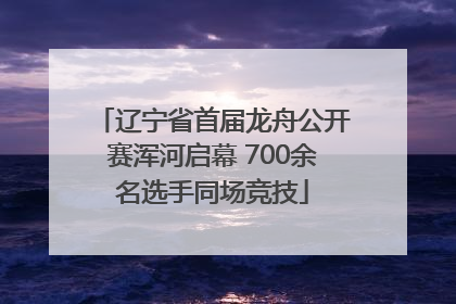 辽宁省首届龙舟公开赛浑河启幕 700余名选手同场竞技