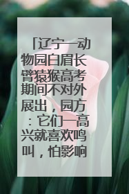 辽宁一动物园白眉长臂猿猴高考期间不对外展出，园方：它们一高兴就喜欢鸣叫，怕影响考试