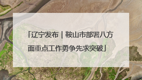 辽宁发布｜鞍山市部署八方面重点工作勇争先求突破