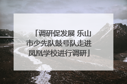 调研促发展 乐山市少先队鼓号队走进凤凰学校进行调研