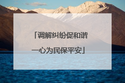 调解纠纷促和谐 一心为民保平安