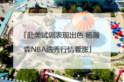 赴美试训表现出色 杨瀚森NBA选秀行情看涨