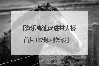 资乐高速促进村大桥首片T梁顺利架设