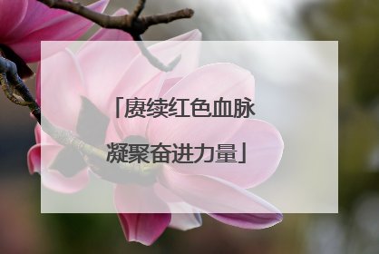 赓续红色血脉 凝聚奋进力量