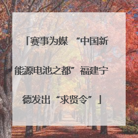 赛事为媒 “中国新能源电池之都”福建宁德发出“求贤令”