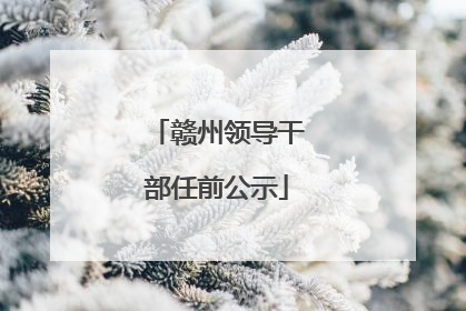 赣州领导干部任前公示