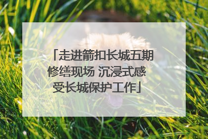 走进箭扣长城五期修缮现场 沉浸式感受长城保护工作