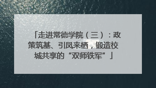 走进常德学院（三）：政策筑基、引凤来栖，锻造校城共享的“双师铁军”