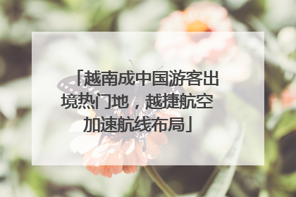 越南成中国游客出境热门地，越捷航空加速航线布局