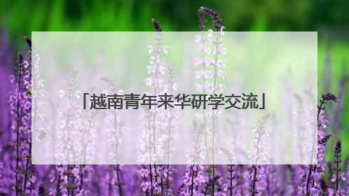 越南青年来华研学交流