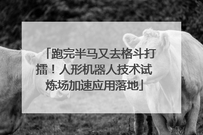 跑完半马又去格斗打擂！人形机器人技术试炼场加速应用落地