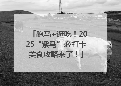 跑马+逛吃！2025“紫马”必打卡美食攻略来了！