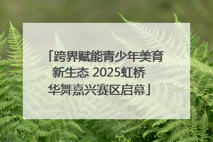 跨界赋能青少年美育新生态 2025虹桥华舞嘉兴赛区启幕