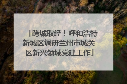 跨城取经！呼和浩特新城区调研兰州市城关区新兴领域党建工作
