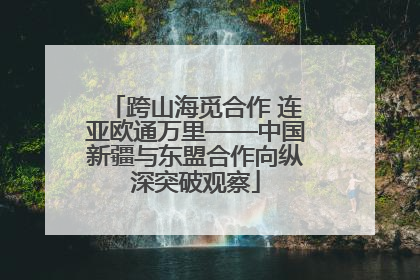 跨山海觅合作 连亚欧通万里——中国新疆与东盟合作向纵深突破观察