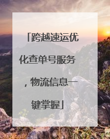 跨越速运优化查单号服务，物流信息一键掌握