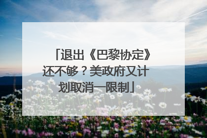 退出《巴黎协定》还不够？美政府又计划取消一限制